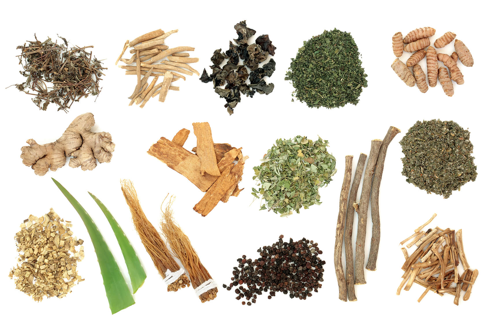 Adaptogens herbs