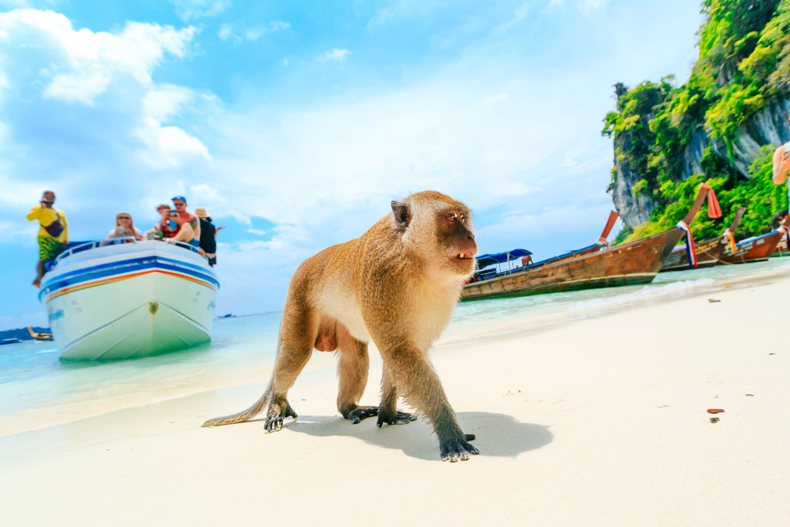 Monkey Beach, Phi Phi Islands, Thailand