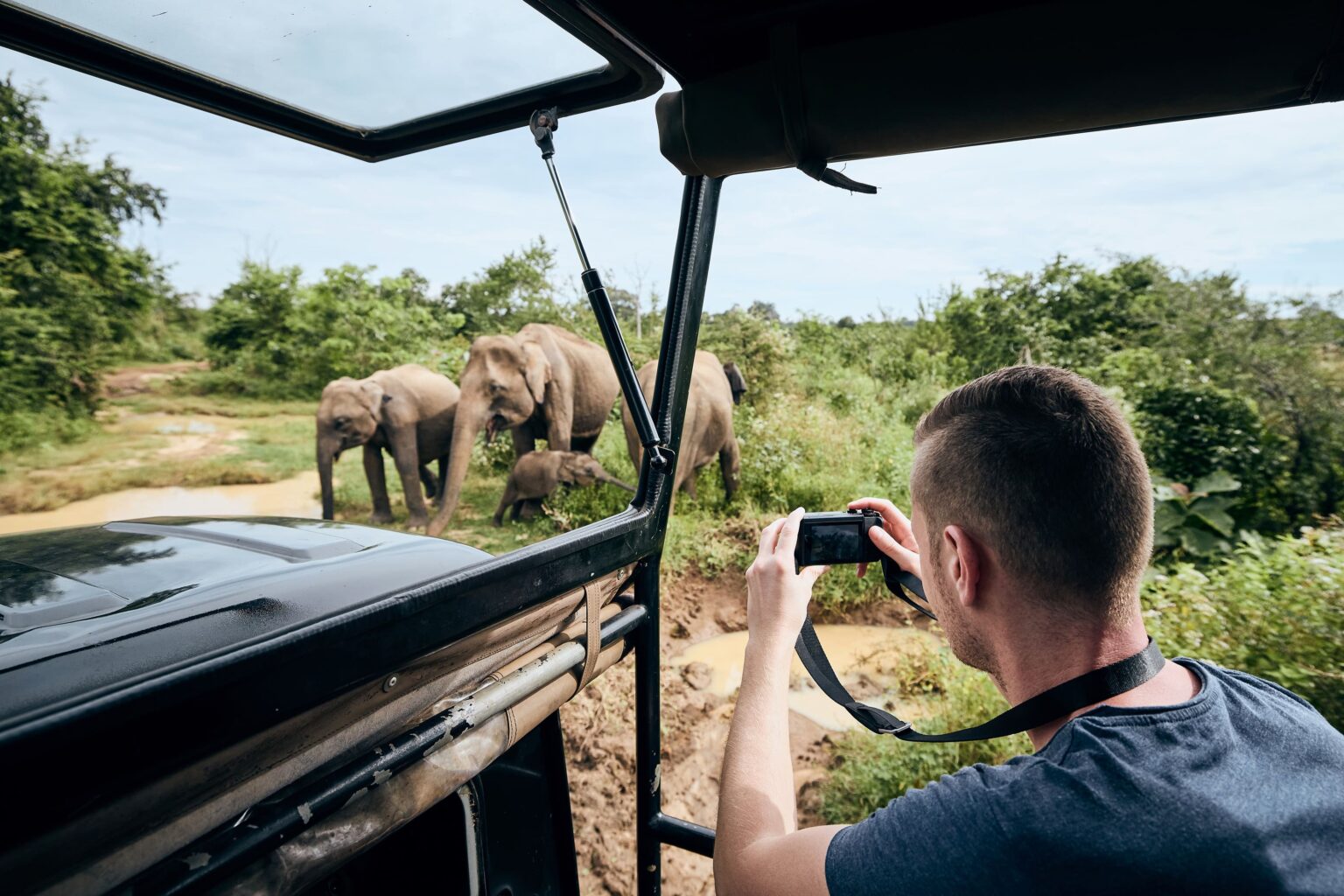 Man photographing of group of elephants