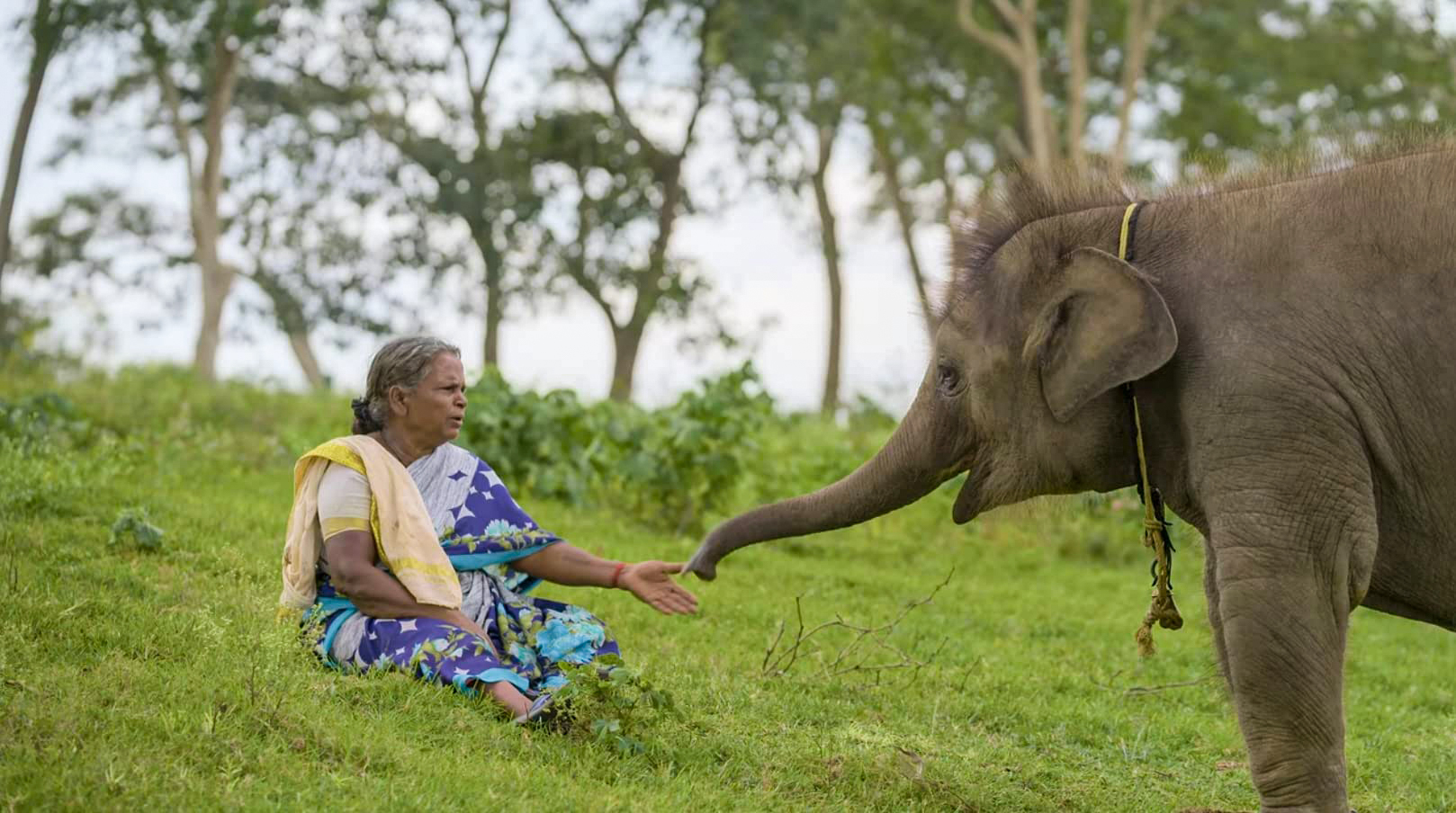 ‘The Elephant Whisperers’ is a documentary that captures the